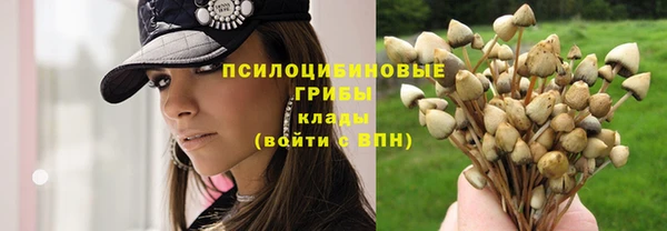 бутират Новодвинск