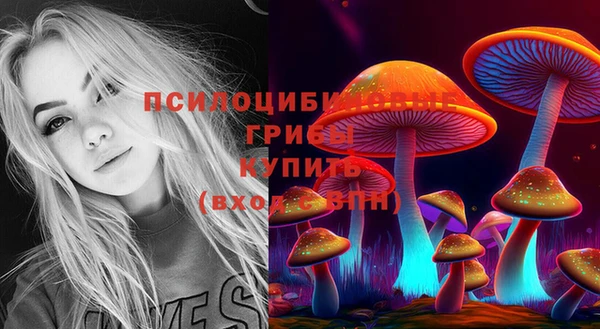 spice Новокубанск